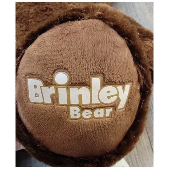 Build A Bear BABW Great Wolf Lodge Brown Brinley Teddy Bear 16" Retired - Picture 5 of 16